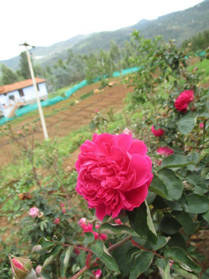 Relaxing 2 B/R Estate House, Deenaty, Tamil Nadu Coimbatore Bagian luar foto