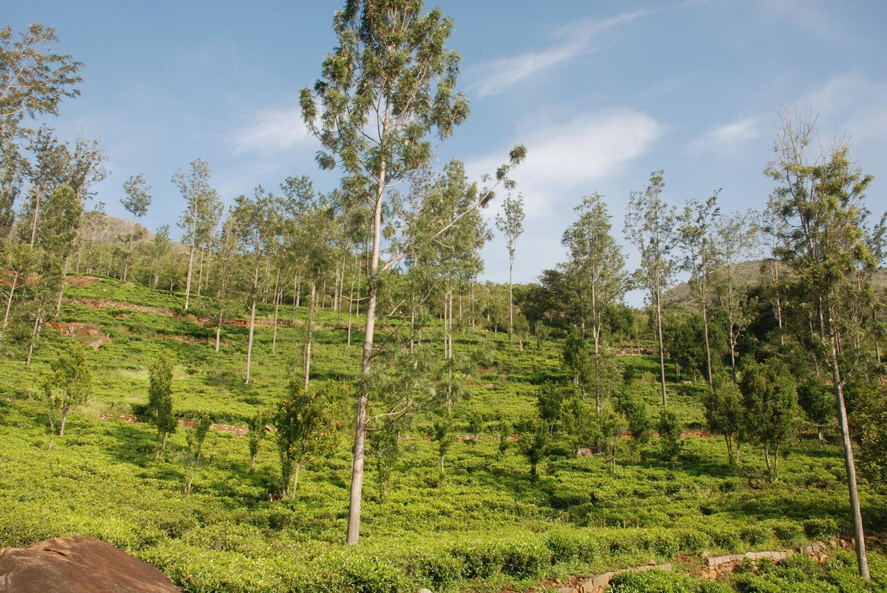 Relaxing 2 B/R Estate House, Deenaty, Tamil Nadu Coimbatore Bagian luar foto