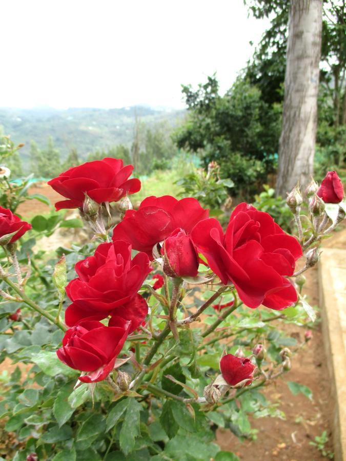 Relaxing 2 B/R Estate House, Deenaty, Tamil Nadu Coimbatore Bagian luar foto